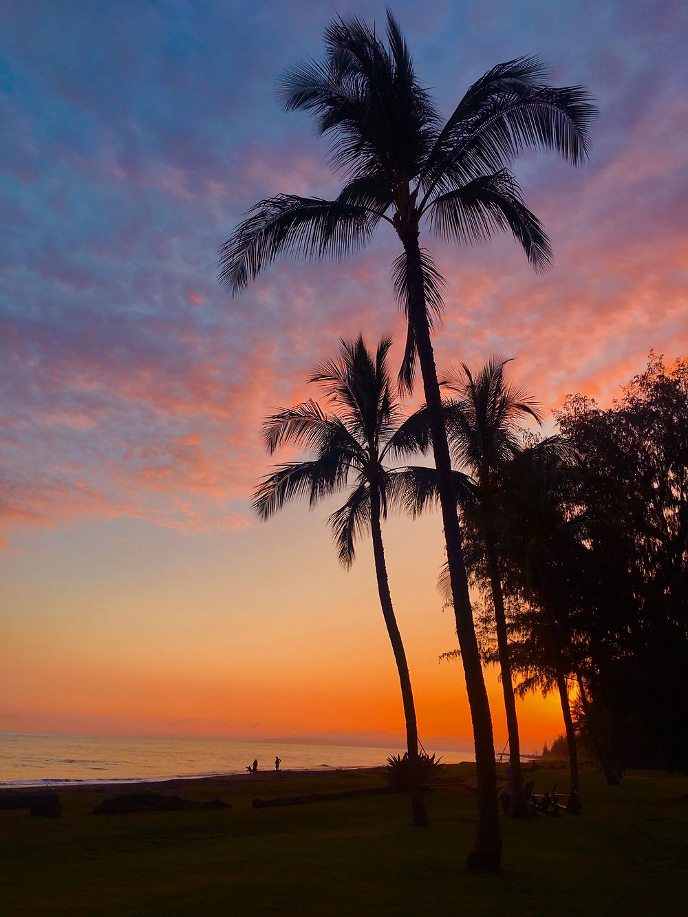 Un horizon de couleur