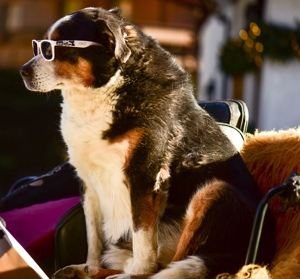 La star et ses lunettes griffées "Gstaad"