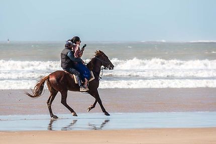 Balade à cheval sur la plage d'Essaouira