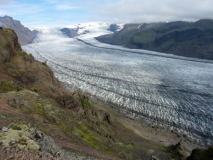 Langues glaciaires dans le Skaftafell 