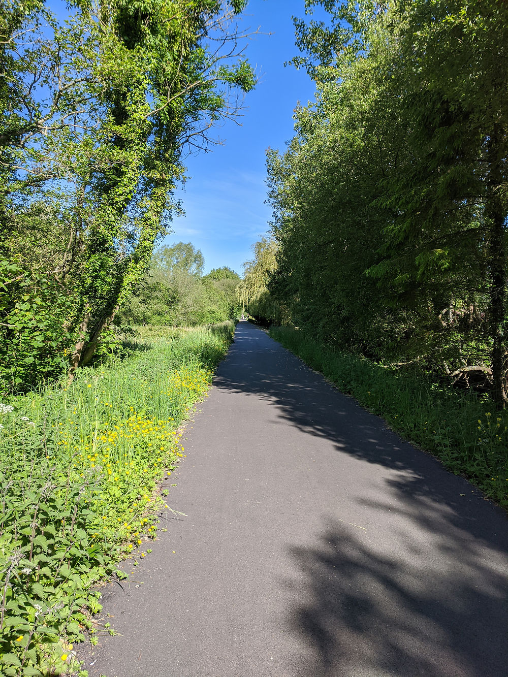 Belle ligne droite à Velmont