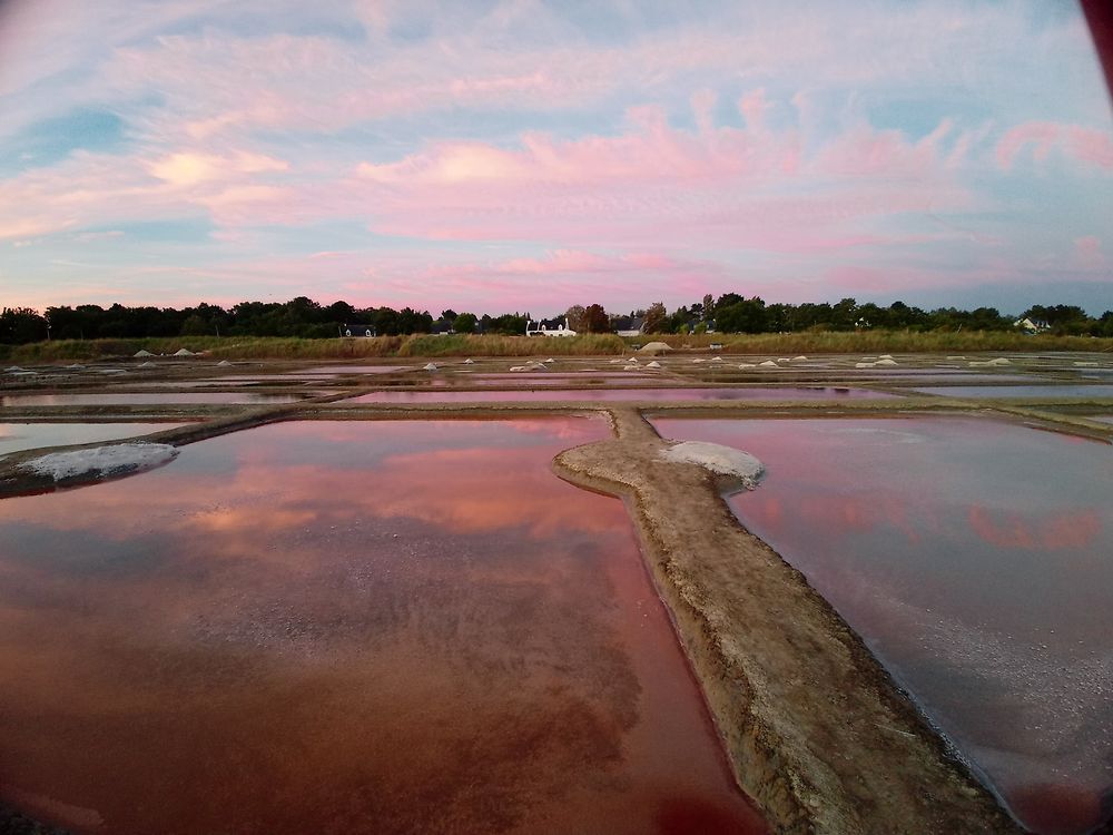 Saline des Gahins