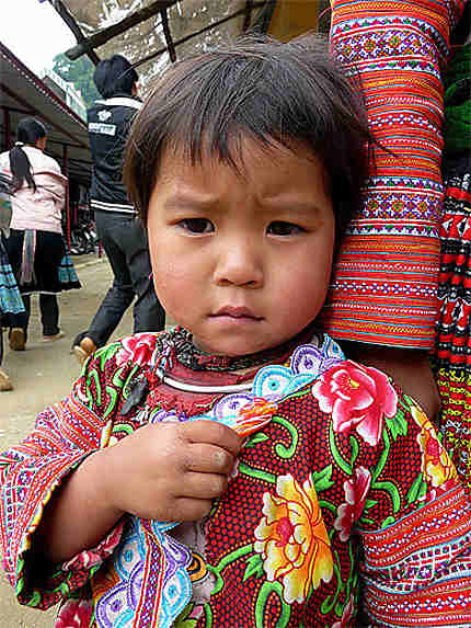 Fillette Hmong fleur