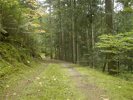 Haute vallée du Doux Haute vallée du Doux