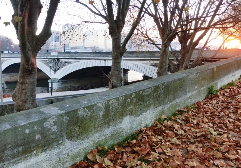 Le pont d'Austerlitz en automne