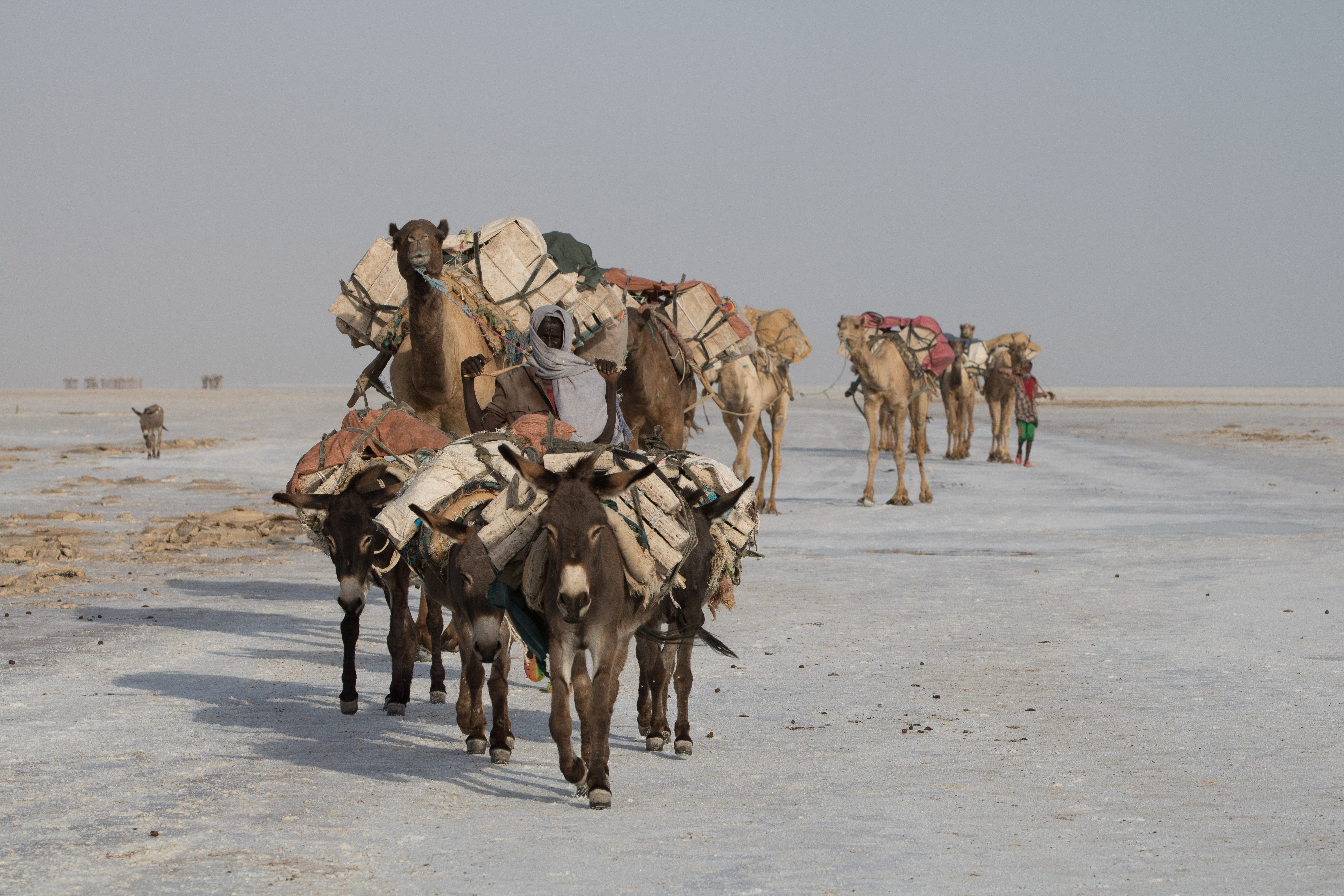 Sur la route du sel à Dallol, Ethiopie Sur la route du sel à Dallol, Ethiopie
