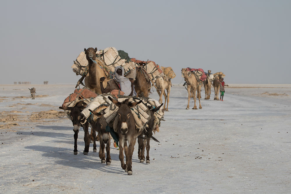 Sur la route du sel à Dallol, Ethiopie