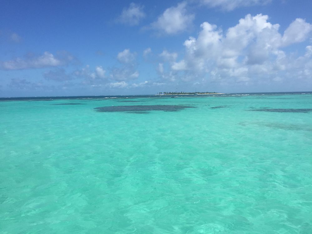 Nuances de bleu aux Tobago Cays