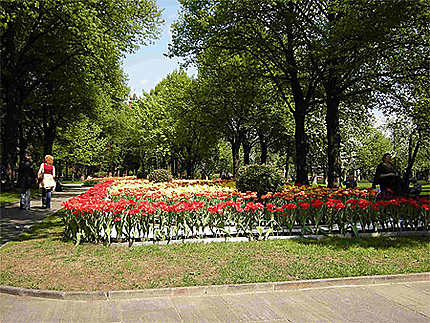 Jardin du Kremlin 