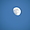 Pleine Lune à Grande-Vallée