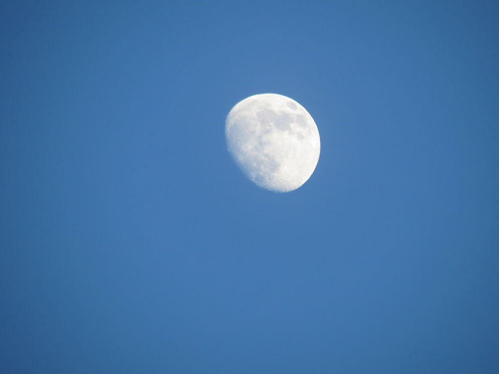 Pleine Lune à Grande-Vallée