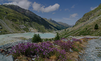 Vallée de Tourtemagne, Haut-Valais, Suisse