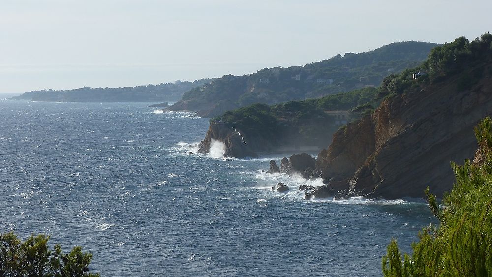 Calanques 