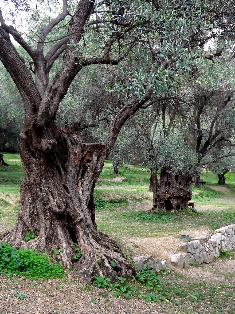 Parc du Pian