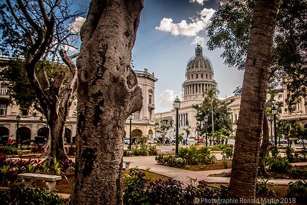 El Capitol de Havana