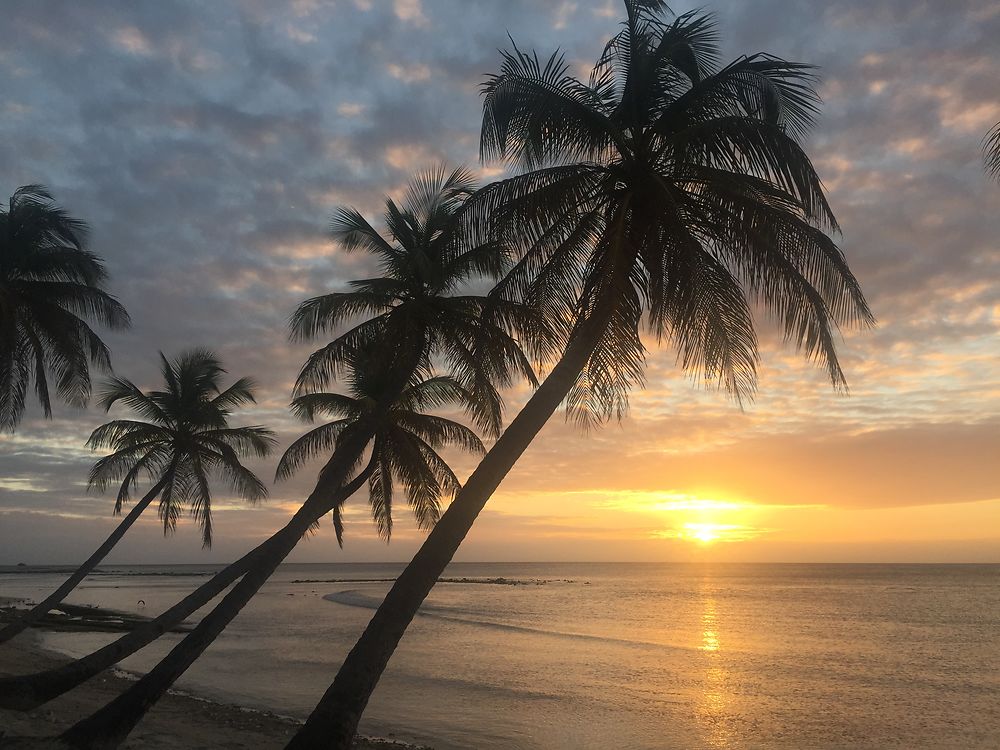 Coucher de soleil à l'île Moustique