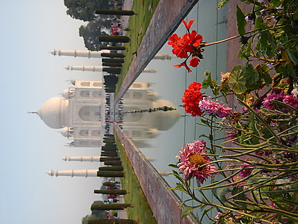 Reflexion du Taj Mahal