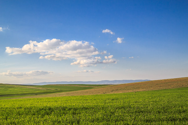 Algérie - Hauts plateaux - Ciel et terre Algérie - Hauts plateaux - Ciel et terre