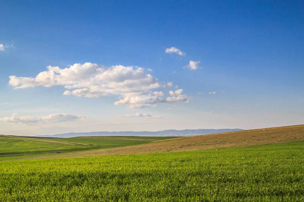 Algérie - Hauts plateaux - Ciel et terre