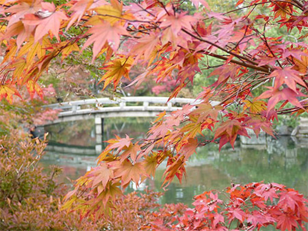 Automne temple Eikando Kyoto