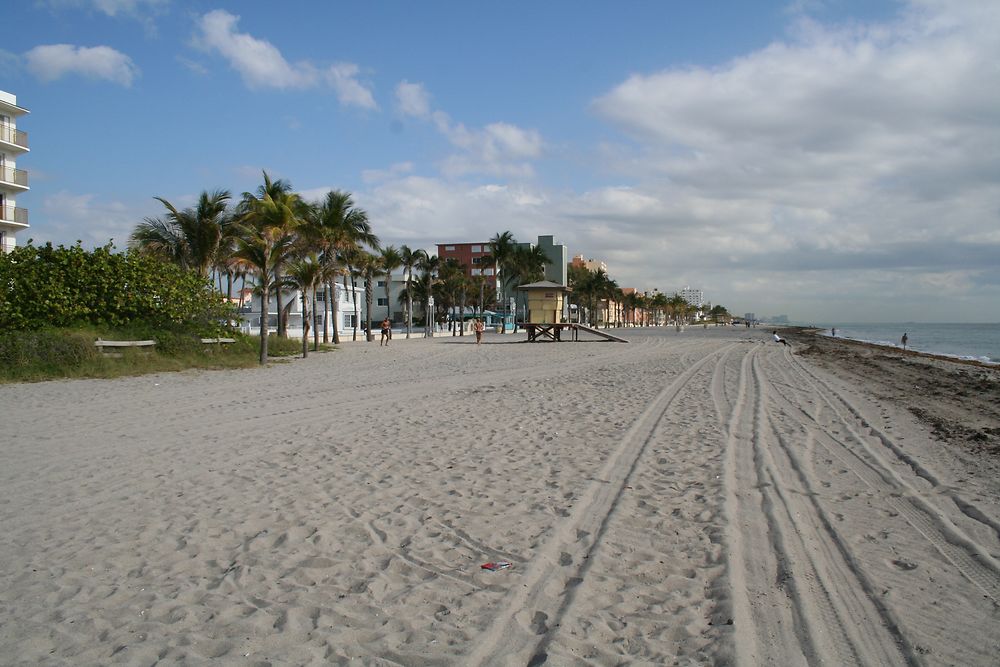 Hollywood beach