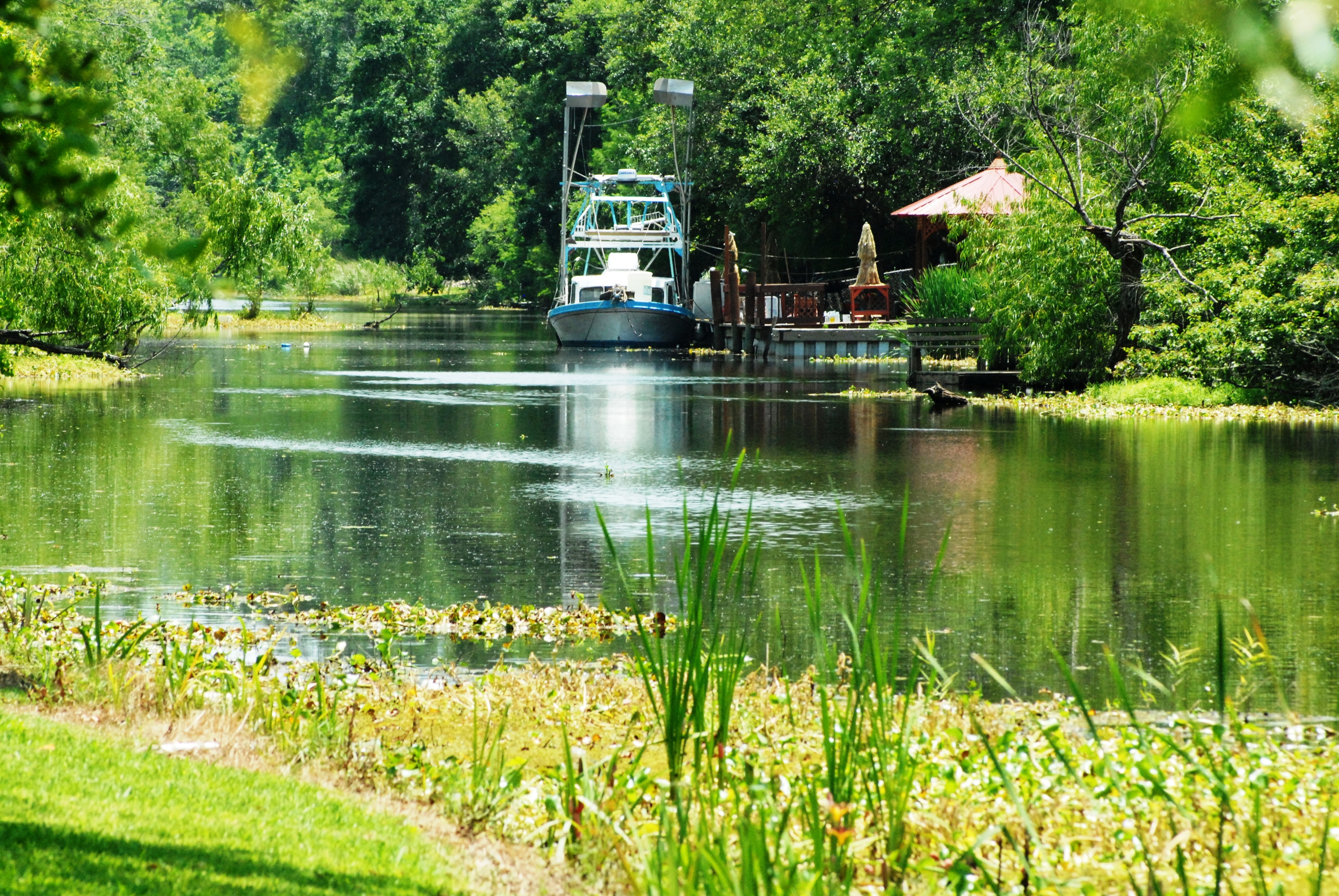 Along the bayou Along the bayou