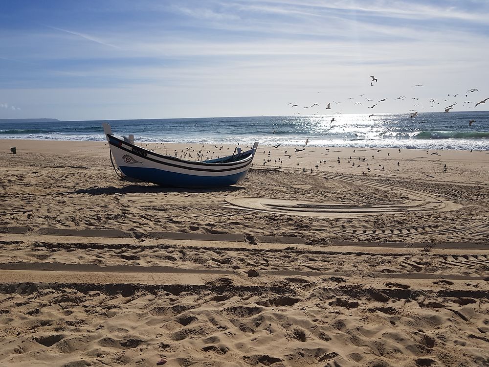 Plage de Fonte da telha Portugal