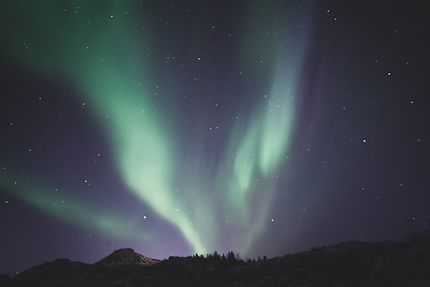 Aurora Borealis, Île d'Austvågøy