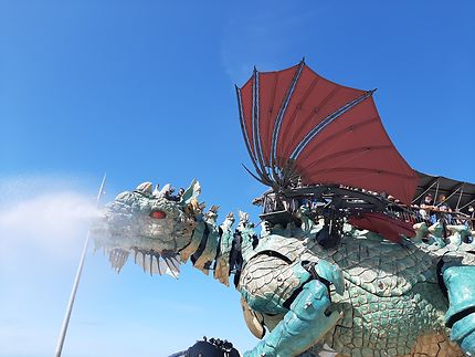Dragon énervé à Calais