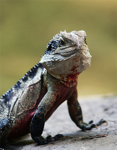 Et vous trouvez ça drôle ? Et vous trouvez ça drôle ?
