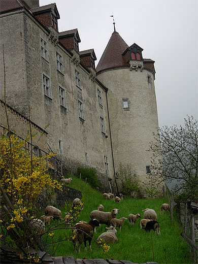 Gruyères et son château Gruyères et son château