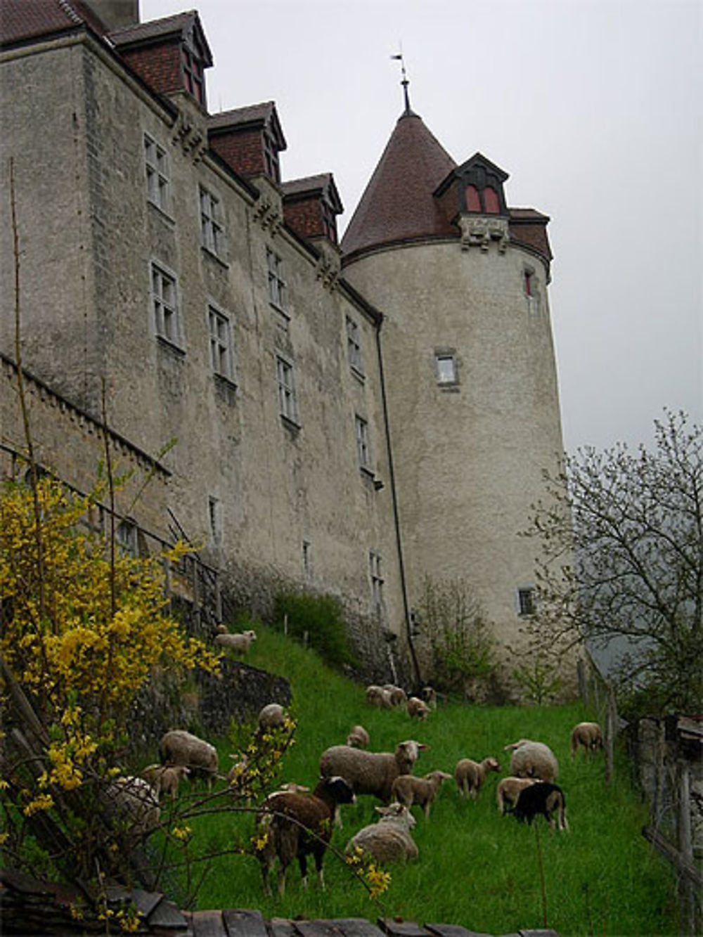 Gruyères et son château