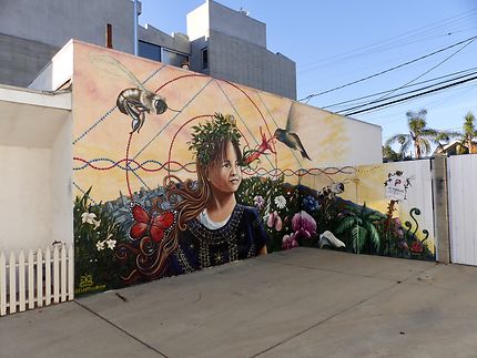 Street art la jeune fille aux fleurs