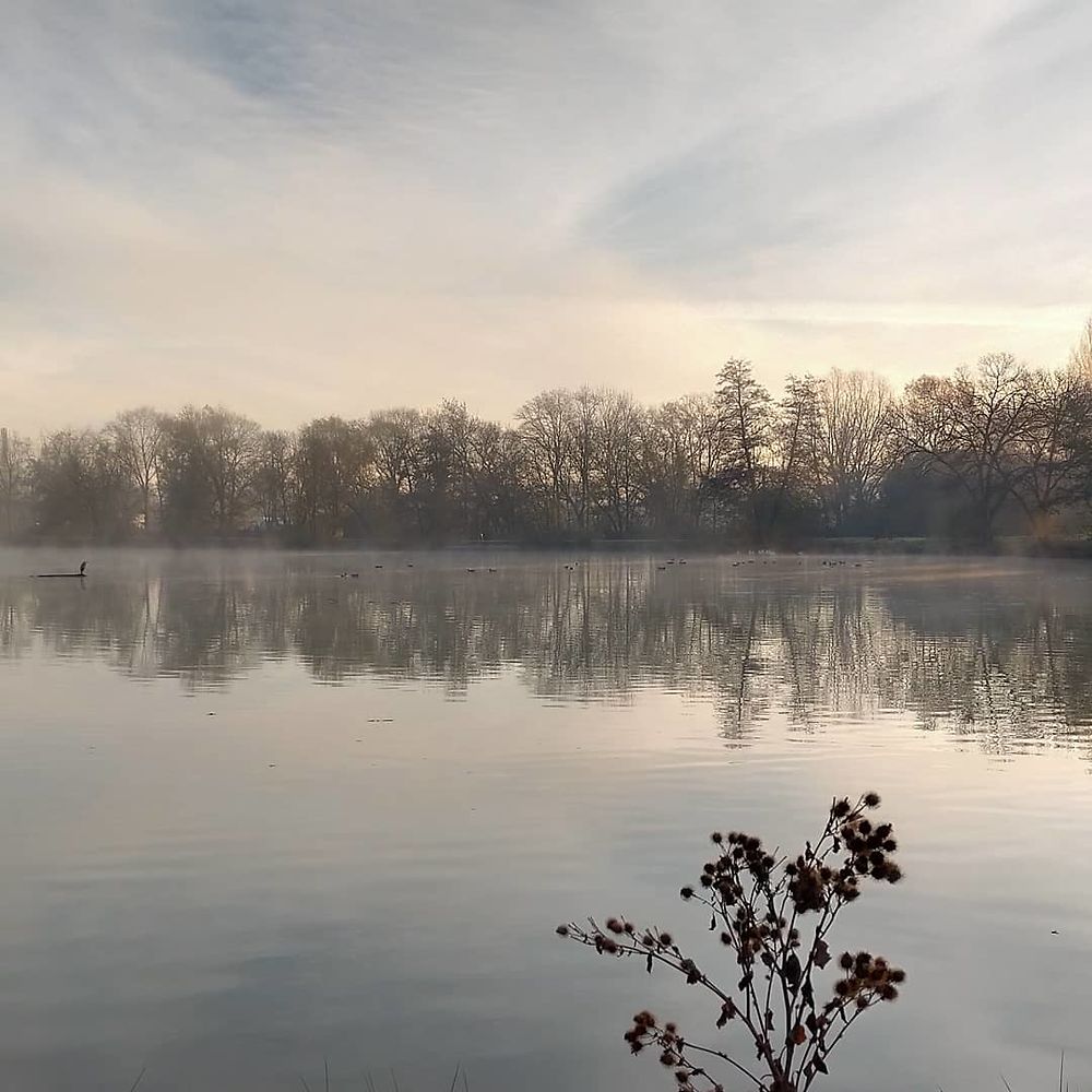 Un héron guette sur le lac de L'Isle Jourdain