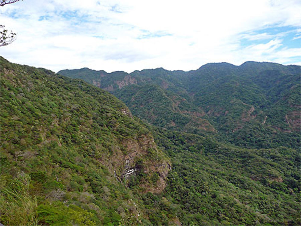 Vue sur la forêt tropicale depuis un mirador