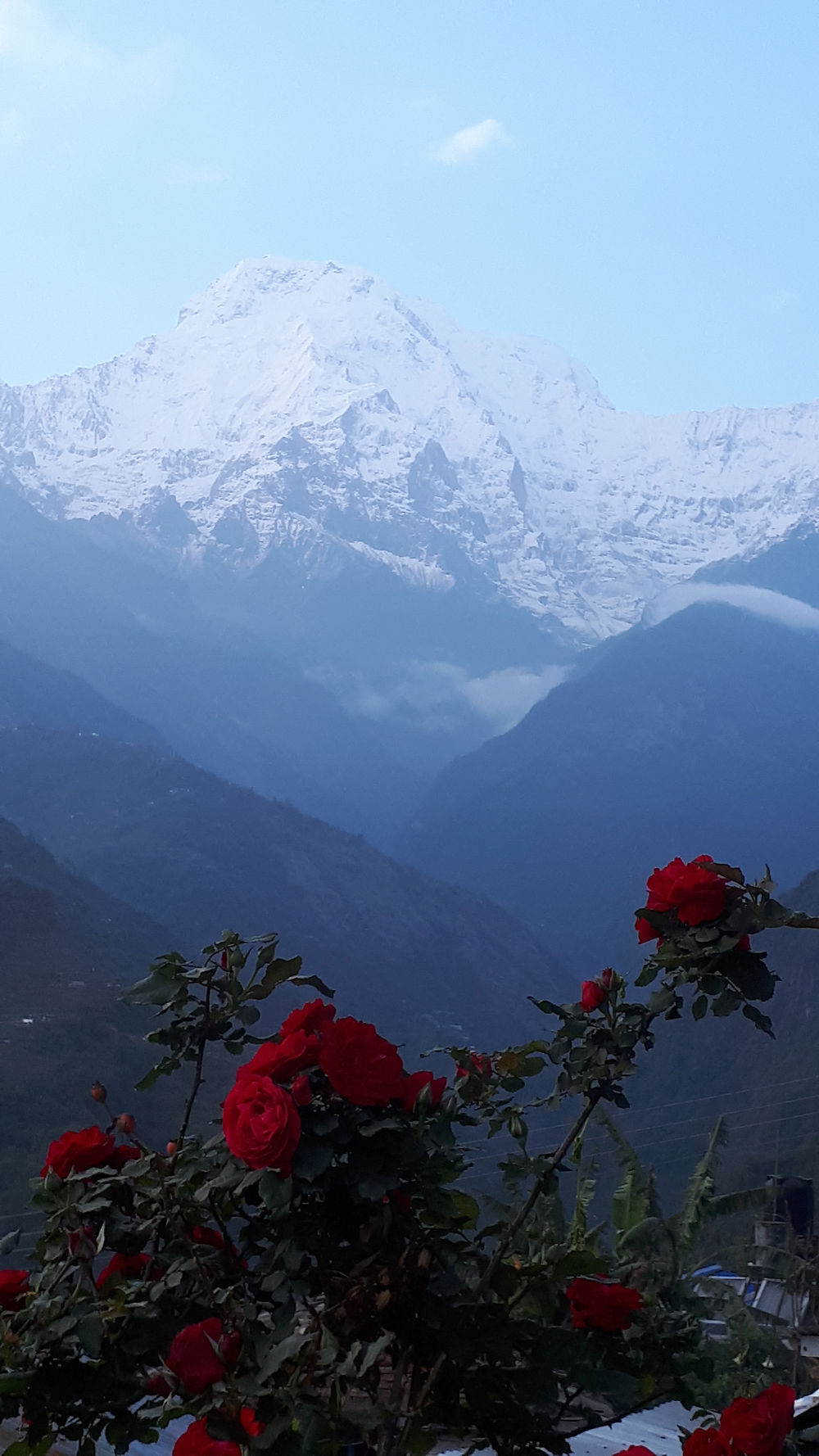 Les Annapurnas 