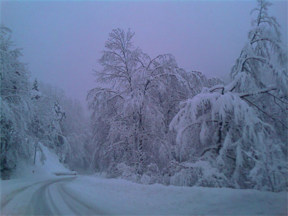 Une route en Chartreuse