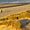 Dunes et oyats sur la plage de Wissant