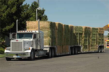Big Truck Big Truck