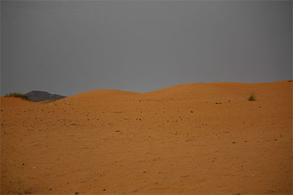 Au désert de oursi