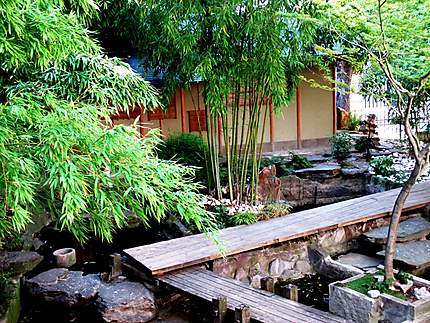Jardin Japonais 