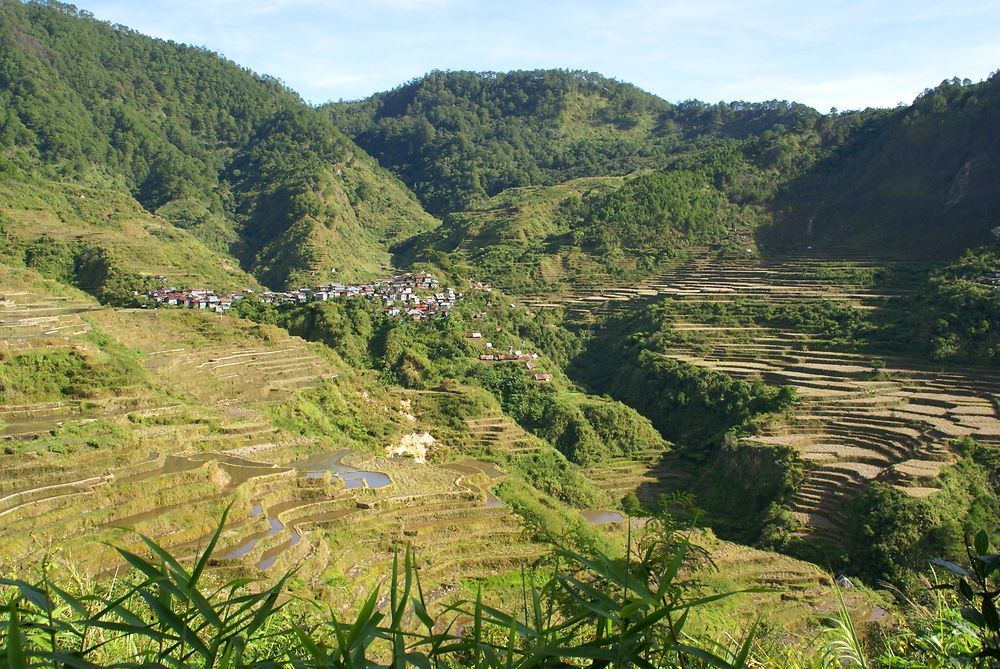 Rizières de Bontoc