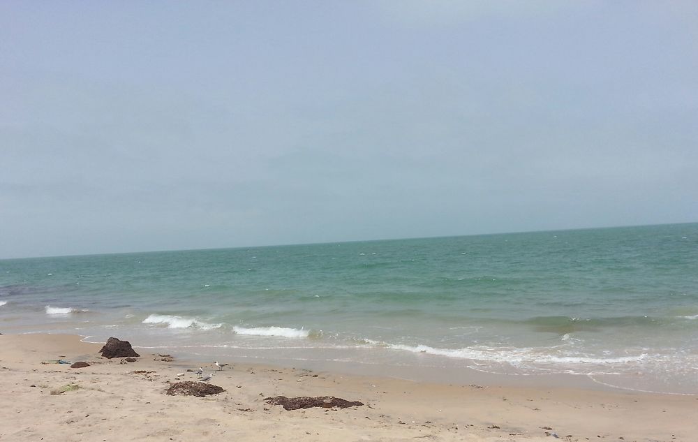 Plage Djifer