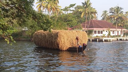 Transport de la paille de coco