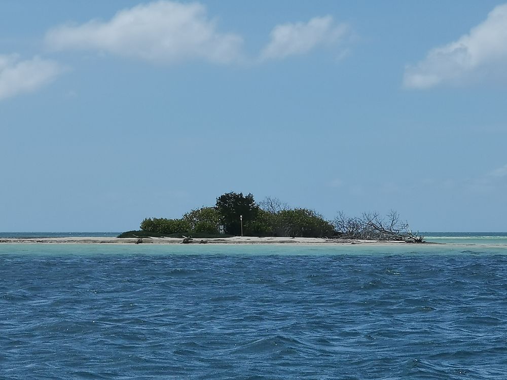 Grand cul de sac marin- île aux oiseaux 