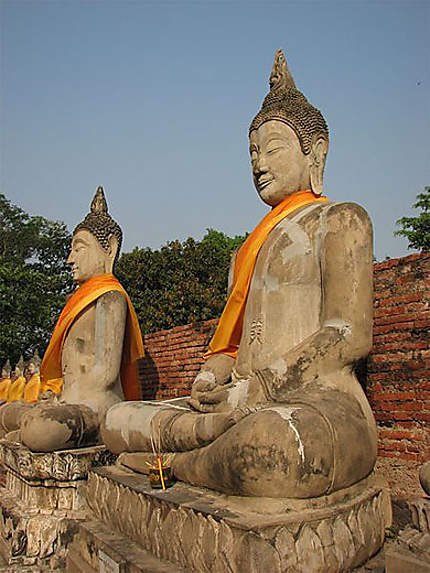 Bouddhas au Wat Yaichaimongkon