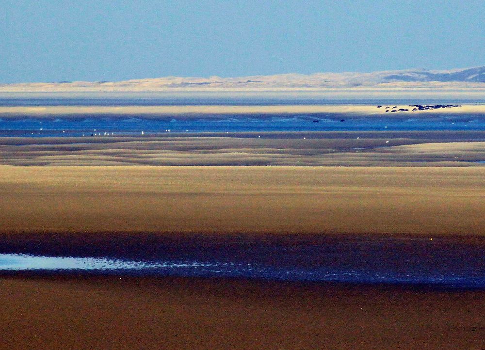 Baie de somme