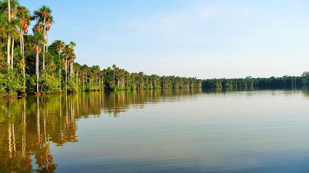 Réserve du lac Sandoval