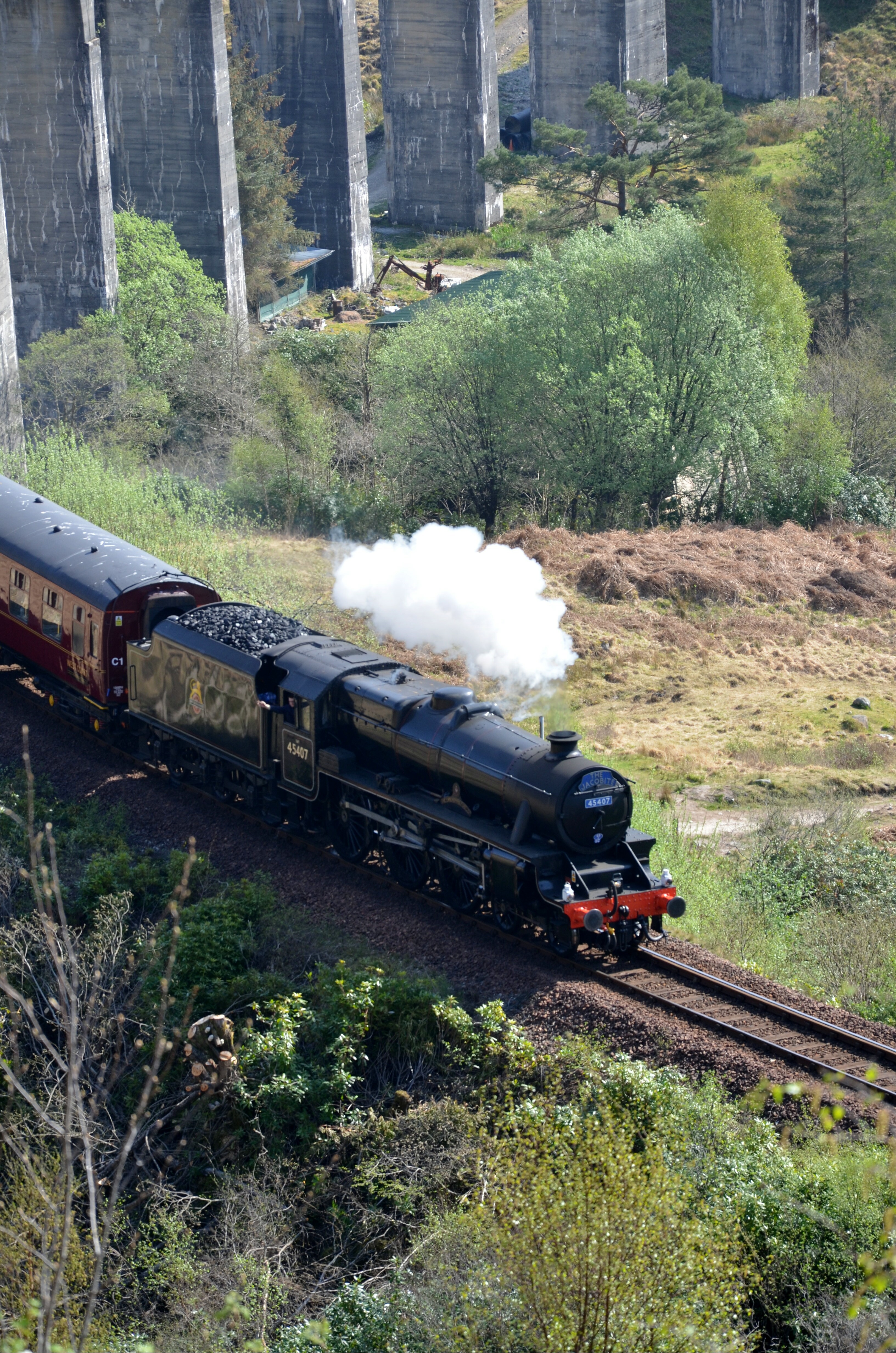 Train des Jacobites Train des Jacobites