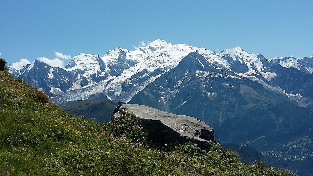 Vue sur le Mont Blanc